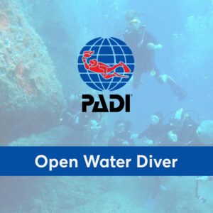 PADI Open Water Course
