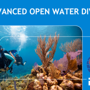 Advanced Open Water Diver