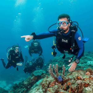 PADI DIVE MASTER COURS